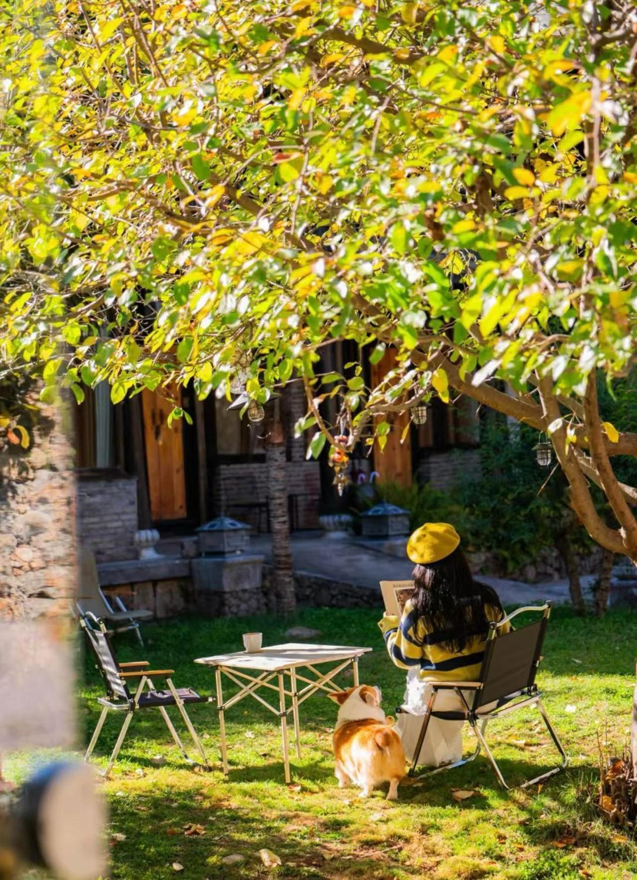 Adonis Inn Lijiang Lijiang  Esterno foto